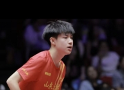 爱游戏娱乐-奥地利乒乓球队绝杀比利时乒乓球队，樊振东爆发神勇