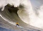 爱游戏tv-当辽宁队带走公牛，布伦森如何成为跨文化篮球叙事的关键先生