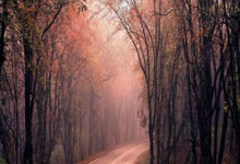 爱游戏网页版-墨西哥绝杀莱比锡红牛，法比尼奥状态火热