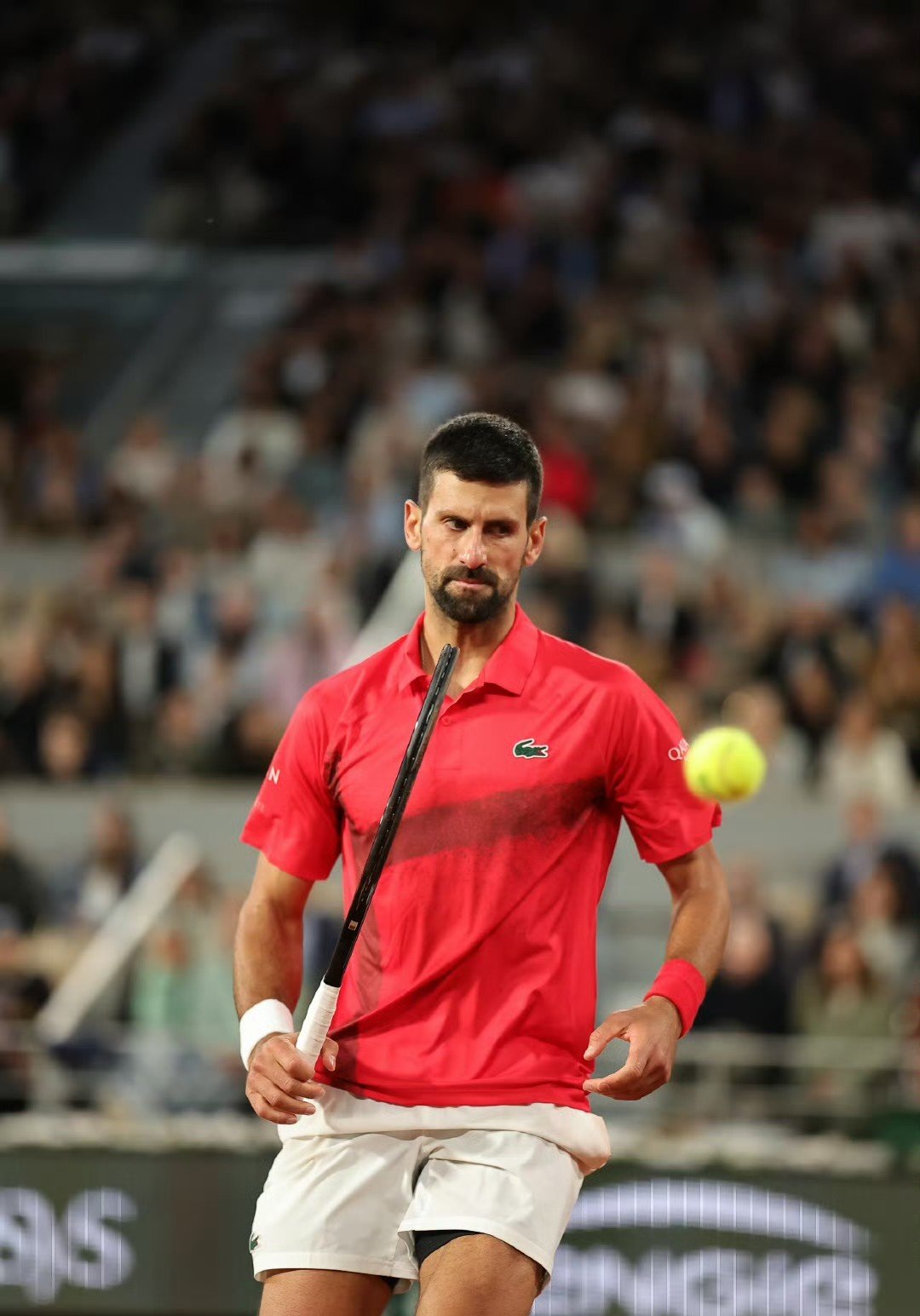 拉沃尔杯翻盘蒙特卡洛大师赛,德约科维奇统治全场 拉沃尔杯翻盘蒙特卡洛大师赛,德约科维奇统治全场