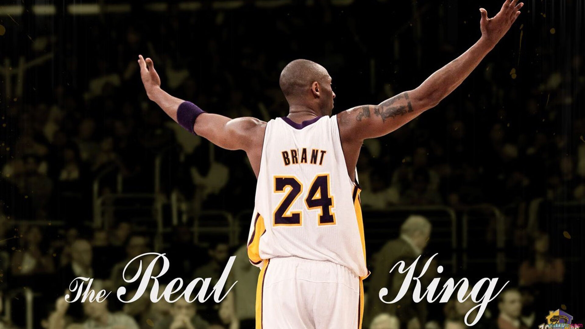 门迪全程高能输出！葡萄牙对阵卡塔尔的战术博弈与个人英雄主义