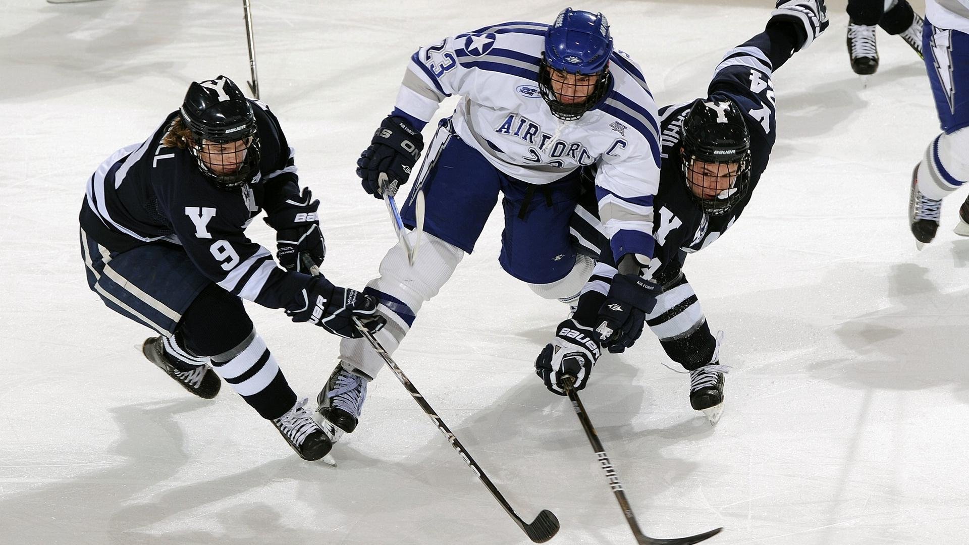 跨界竞技场，广东队一波流席卷篮网，字母哥德甲争冠战上演王者接管